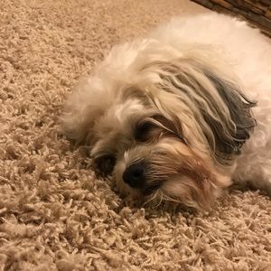 Meet your Posher, Melissa